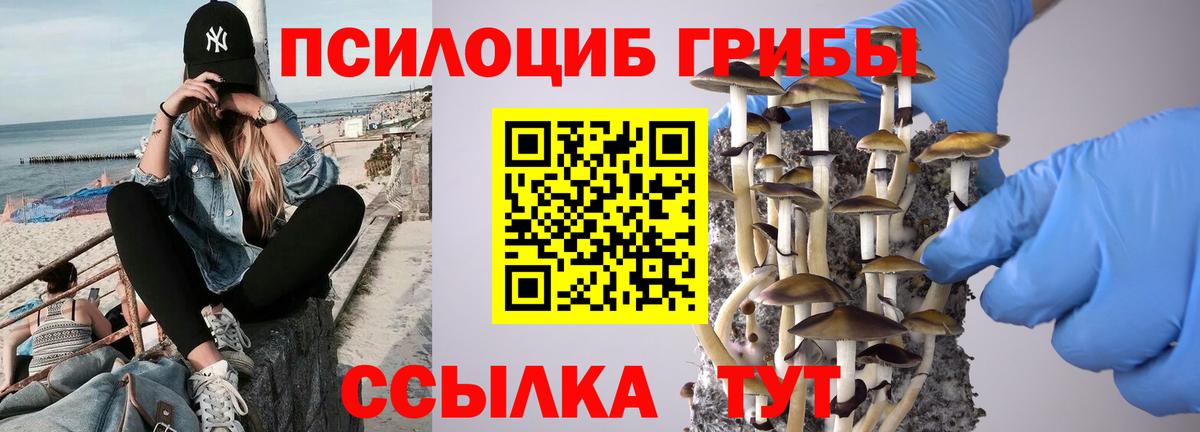 Галлюциногенные грибы MAGIC MUSHROOMS  Вход с VPN  Псилоцибиновые грибы Magic Shrooms  Тулун 